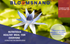products/POSTER_7ab64a2a-8263-4cf5-94f8-0f27bb2a8e66.png
