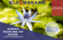 products/Poster2_2cf46e48-6d23-490c-9c23-f98abee38b1a.png